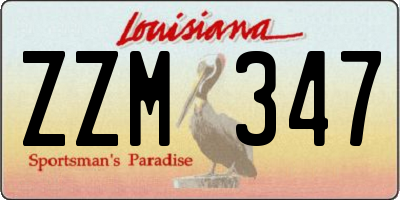 LA license plate ZZM347