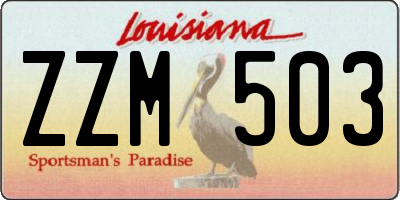 LA license plate ZZM503