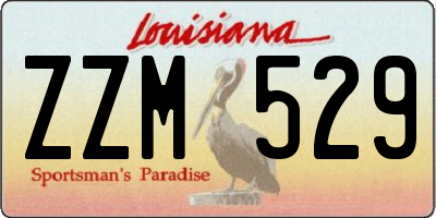 LA license plate ZZM529