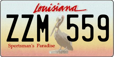 LA license plate ZZM559