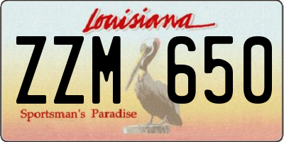 LA license plate ZZM650