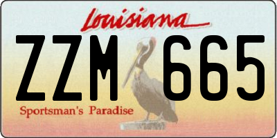 LA license plate ZZM665
