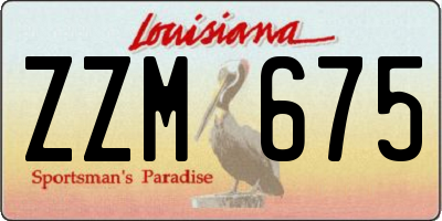 LA license plate ZZM675