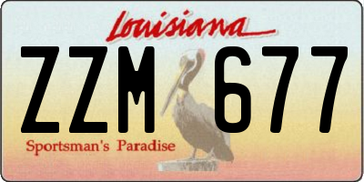 LA license plate ZZM677