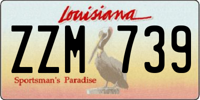 LA license plate ZZM739