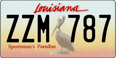 LA license plate ZZM787