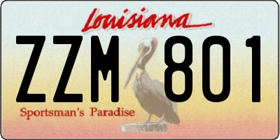 LA license plate ZZM801