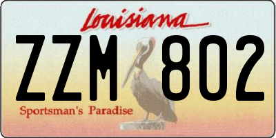 LA license plate ZZM802