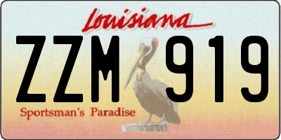 LA license plate ZZM919