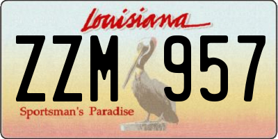 LA license plate ZZM957