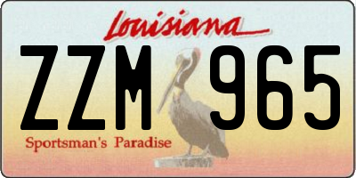 LA license plate ZZM965