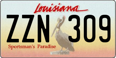 LA license plate ZZN309