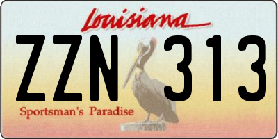 LA license plate ZZN313