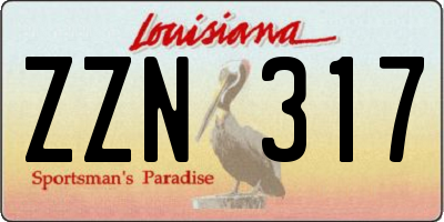 LA license plate ZZN317