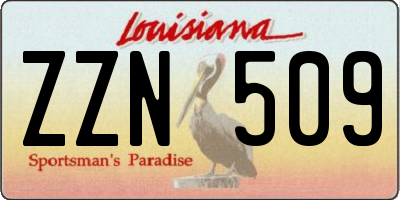 LA license plate ZZN509
