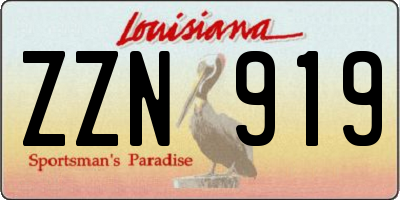 LA license plate ZZN919