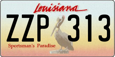 LA license plate ZZP313