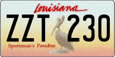 LA license plate ZZT230