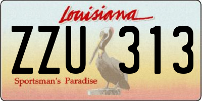 LA license plate ZZU313