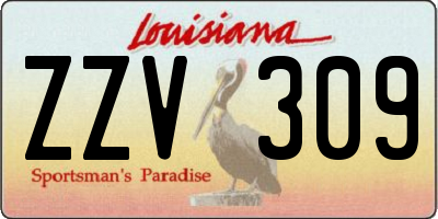 LA license plate ZZV309