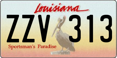 LA license plate ZZV313