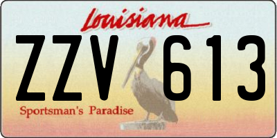LA license plate ZZV613