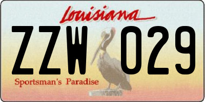 LA license plate ZZW029