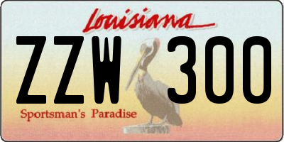 LA license plate ZZW300