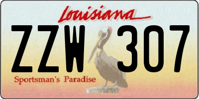 LA license plate ZZW307