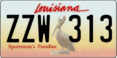 LA license plate ZZW313