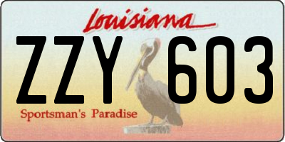 LA license plate ZZY603