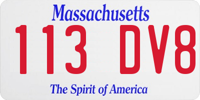 MA license plate 113DV8