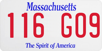 MA license plate 116GO9