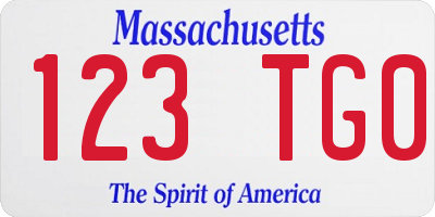 MA license plate 123TG0