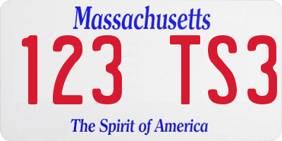 MA license plate 123TS3