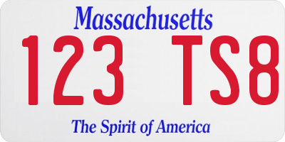 MA license plate 123TS8