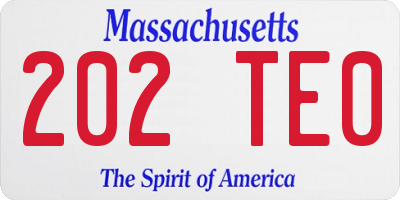 MA license plate 202TE0