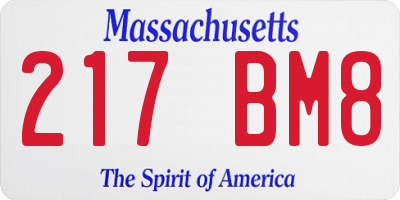 MA license plate 217BM8