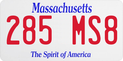 MA license plate 285MS8