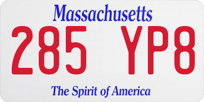 MA license plate 285YP8