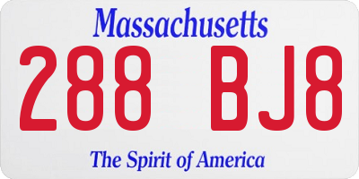 MA license plate 288BJ8
