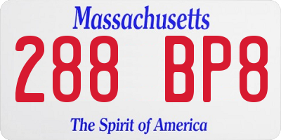 MA license plate 288BP8