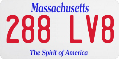 MA license plate 288LV8