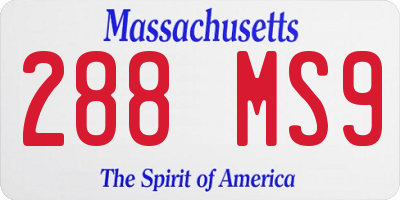 MA license plate 288MS9