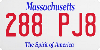 MA license plate 288PJ8