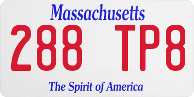 MA license plate 288TP8