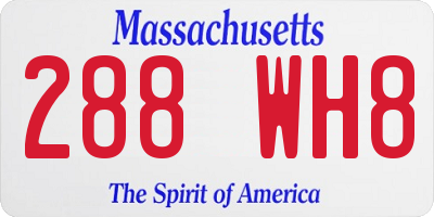 MA license plate 288WH8