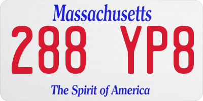 MA license plate 288YP8