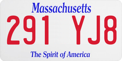 MA license plate 291YJ8