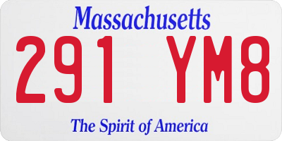 MA license plate 291YM8